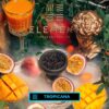 Tutun Narghilea Element Al 25g – Tropicana (Tropical)