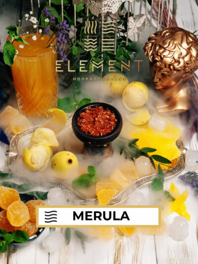 Tutun Narghilea Element Al 25g – Merula (Merula)